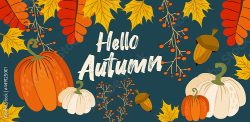 Hello autumn banner or greeting card for the autumn holiday. Pumpkins, inscriptions, leaves and maple, acorn and mountain ash on a dark background in a flat style. Vector seasonal illustration