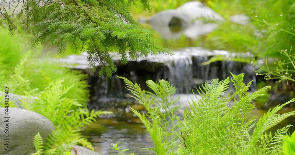 Establishing shot of nice water landscape and green background in Vancouver, Canada, North America. Day time on June 2021. Still camera view. ProRes 422 HQ.