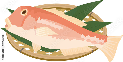 甘鯛のかご盛りベクターイラスト