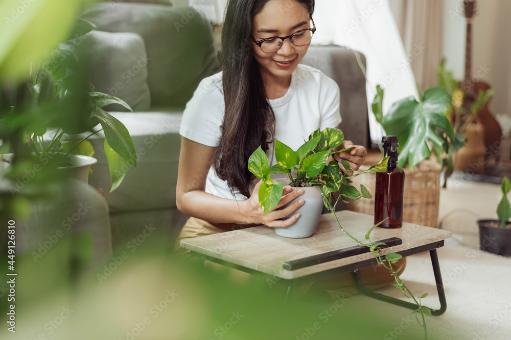 Woman care for her plants at home. Asian woman gardening at home, Home gardening. Woman care for her plants at home. Asian woman gardening at home, Home gardening.