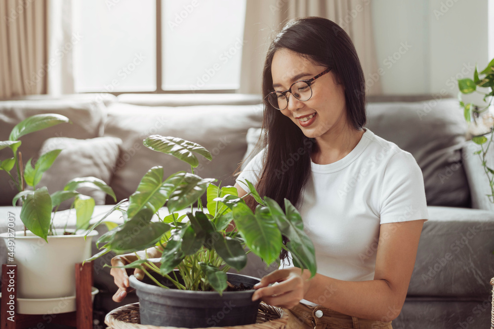 Happy woman care for her plants at home. Asian woman gardening at home, Home gardening. Happy woman care for her plants at home. Asian woman gardening at home, Home gardening.