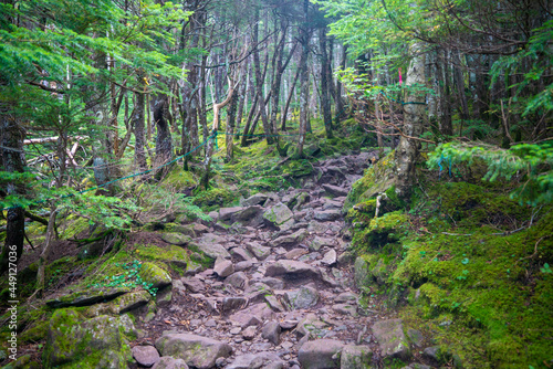 長野県茅野市と北佐久郡立科町にある八ヶ岳連峰の蓼科山の登山の風景 A view of climbing Mount Tateshina in the Yatsugatake mountain range in Chino City and Tateshina Town, Kitasaku County, Nagano Prefecture. photo