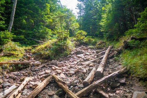                                                                                                  A view of climbing Mount Tateshina in the Yatsugatake mountain range in Chino City and Tateshina Town  Kitasaku County  Nagano Prefecture.