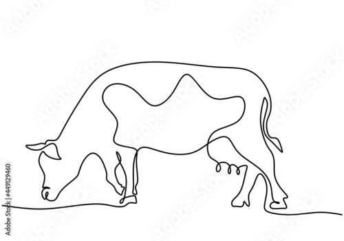 Grazing cow in continuous line art drawing style. Farm animal concept. Cow on pasture minimalist black linear sketch isolated on white background. Vector cattle sketch illustration