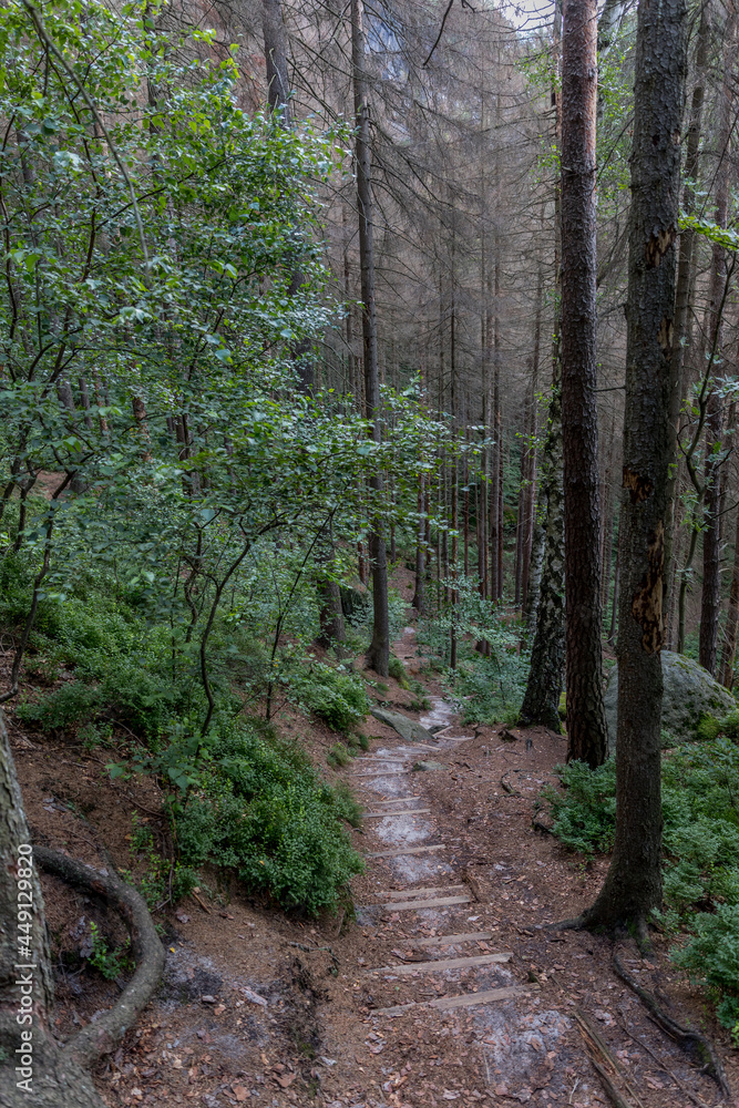 Steintreppe in der Sächsischen Schweiz