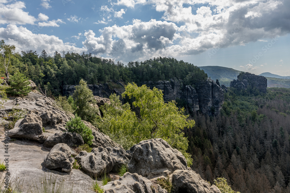 Naklejka premium Schöne Aussicht in der Sächsischen Schweiz