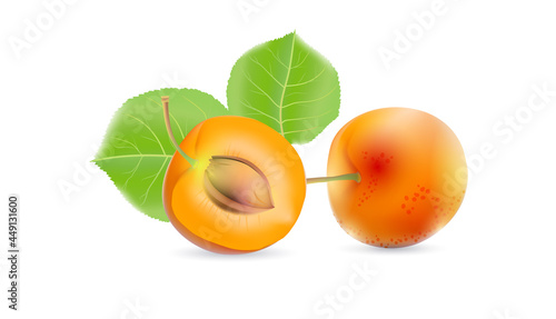 Fruits and berries. Use it for package, card or advertisement print or web poster creation. Vector illustration.