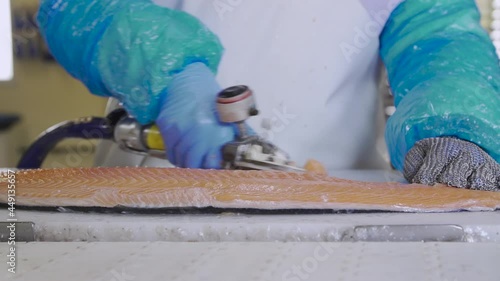 front view of a salmon fillet and cutting the peritoneum with an electric machine in slow motion