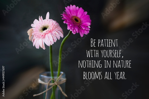 Inspirational quote - Be patient with yourself, nothing in nature blooms all year. With background of two beautiful pink gerbera daisies flower. Life process and positive improvements concept. photo
