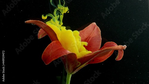 Yellow ink in water with red flower