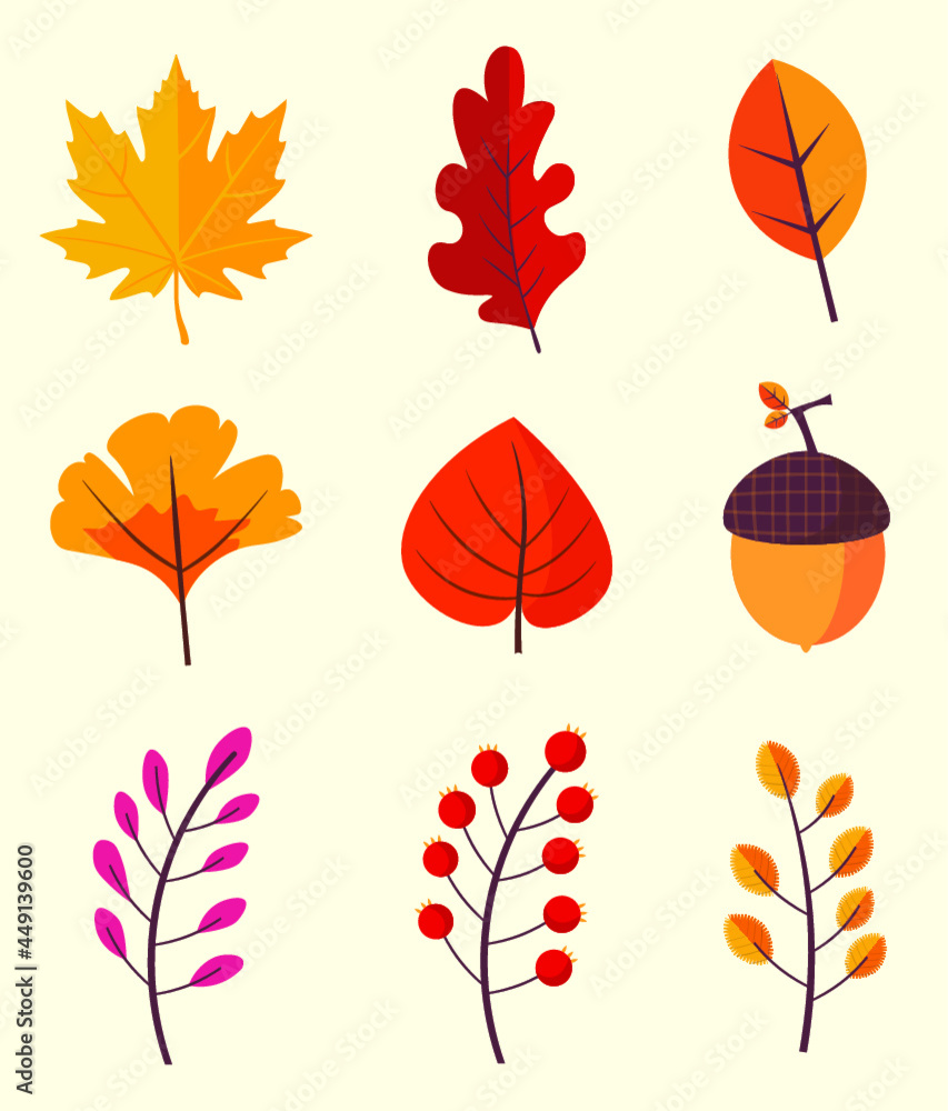 Obraz premium set of autumn leaves fall leaves collection simple illustration
