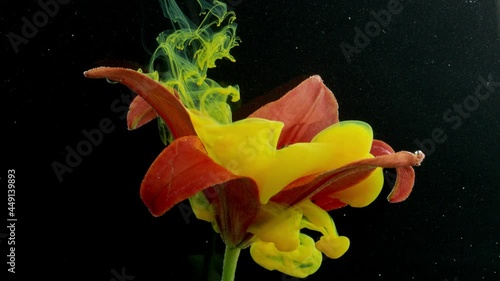 Yellow ink in water with red flower