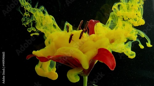 Yellow ink in water with red flower