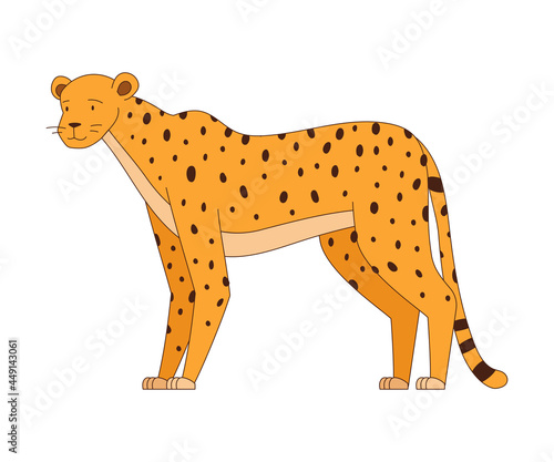 Spotted Cheetah Standing as African Animal Vector Illustration