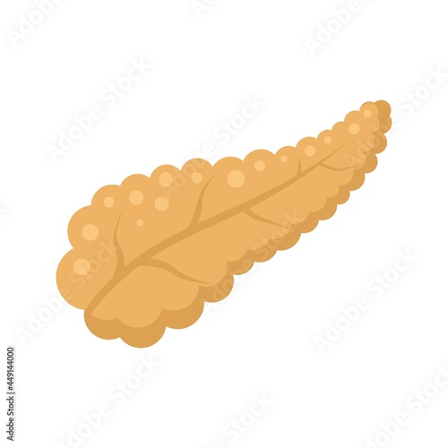 Diabetes pancreas ill icon flat isolated vector