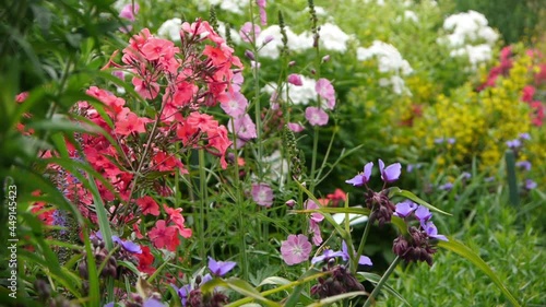 Wallpaper Mural Colorful flowers at a botanical garden Torontodigital.ca