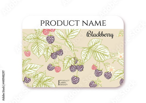 Blackberry. Ripe berries on branch. Template for product label, cosmetic packaging. Easy to edit. Graphic drawing, engraving style. Vector illustration..