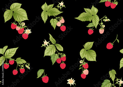 Raspberry. Ripe berries on branch. Seamless pattern, background. Graphic drawing, engraving style. Vector illustration on black background.