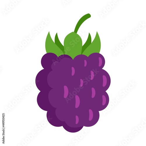 Wild blackberry icon flat isolated vector
