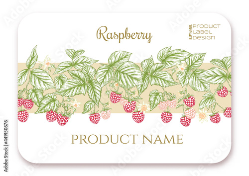 Raspberry. Ripe berries on branch. Template for product label, cosmetic packaging. Easy to edit. Graphic drawing, engraving style. Vector illustration..