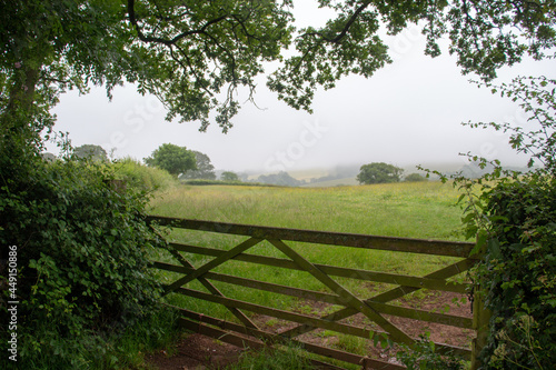 bucolic Devon countryside of green fields for hay and a cloudy blue sky and mist and a farm gate