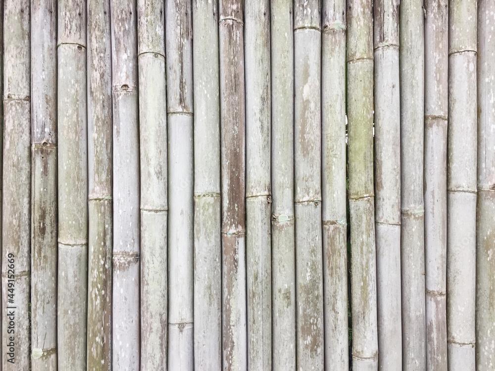 Bamboo boundary wall material texture pattern Bamboo boundary wall material texture pattern