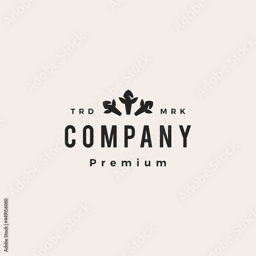 clove dried flower buds hipster vintage logo vector icon illustration