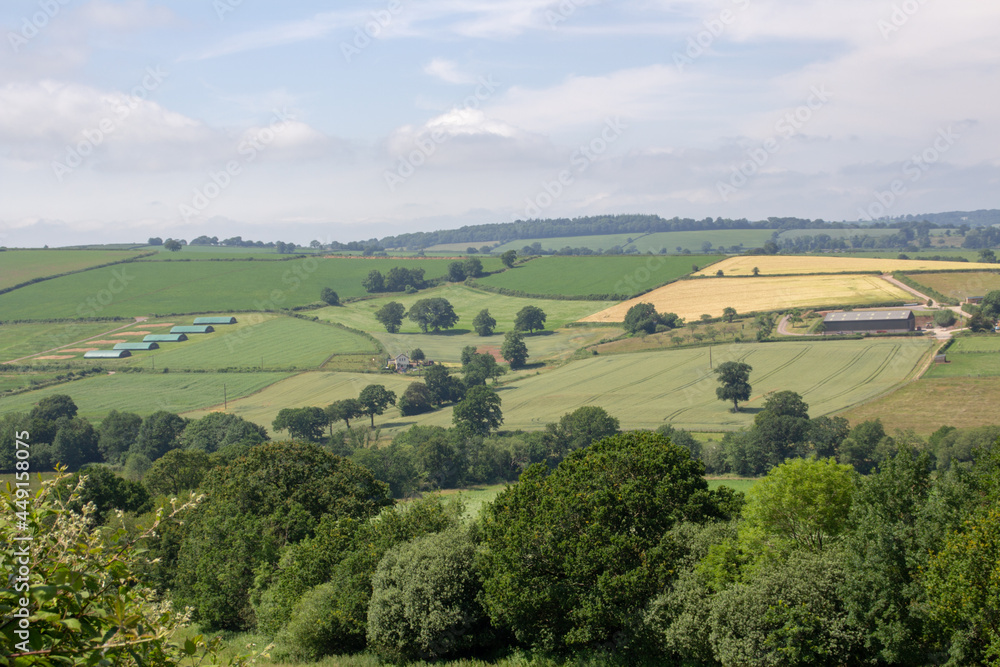 typical Devon rolling countryside with fields, farms, hedges and blue sky