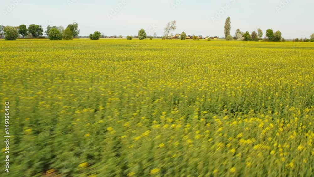 Picturesque nature scene. Aerial drone view of countryside rural landscape. Agricultural fields, harvest crops and cultivation. Picturesque nature scene. Aerial drone view of countryside rural landscape. Agricultural fields, harvest crops and cultivation.
