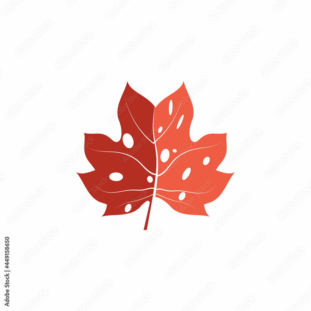 Maple leaf vector illustration design template Maple leaf vector illustration design template