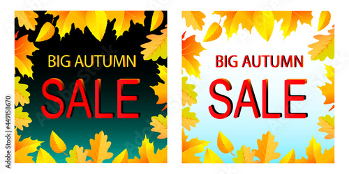 Autumn sale discount banners on colorful background of autumn leaves for fall season store promotion. Vector illustration. Two options.