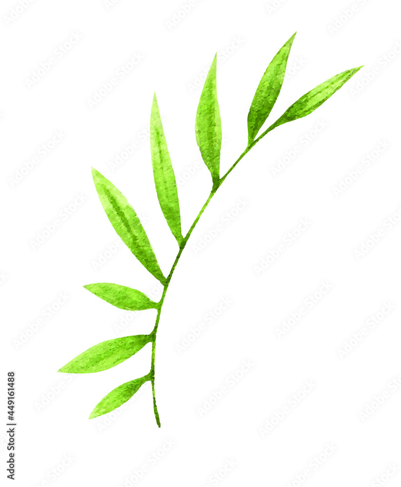 Fototapeta premium watercolor plant vector illustrations, for wedding invitations and graphic design. isolated hand drawn botanical clip art on white background, summer flowers and leaves decoration