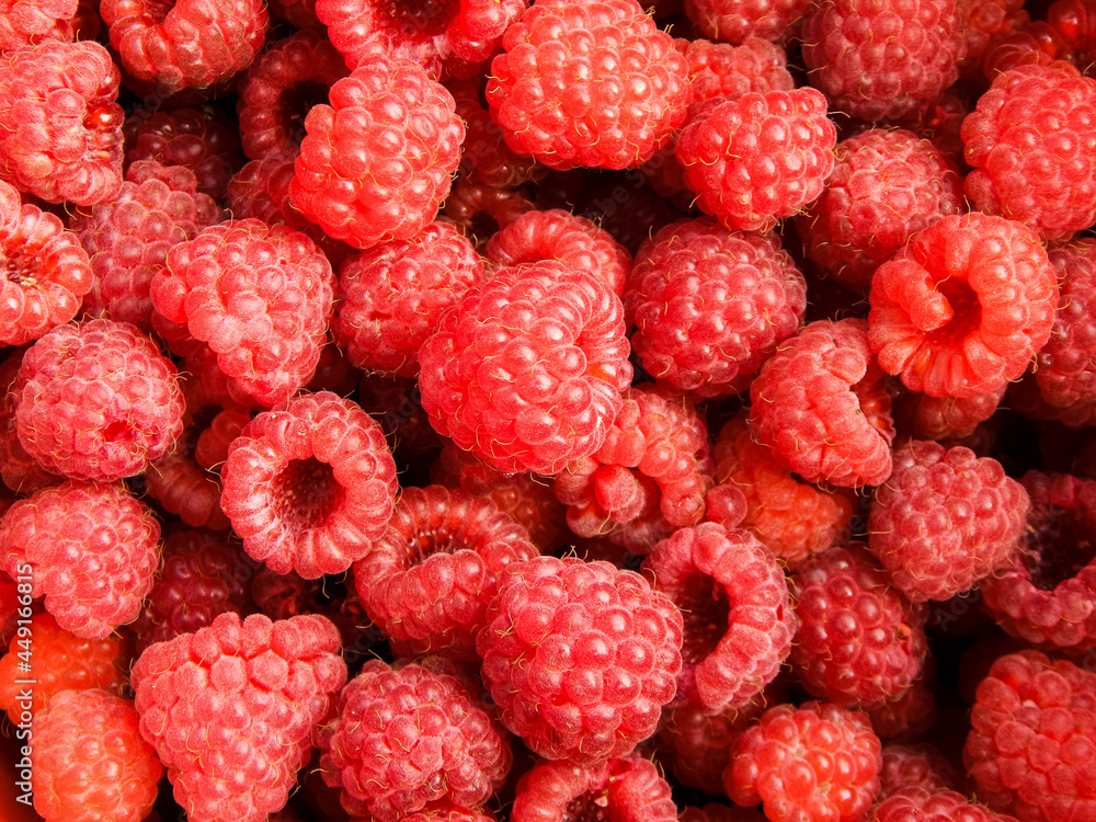 Raspberry fruit background