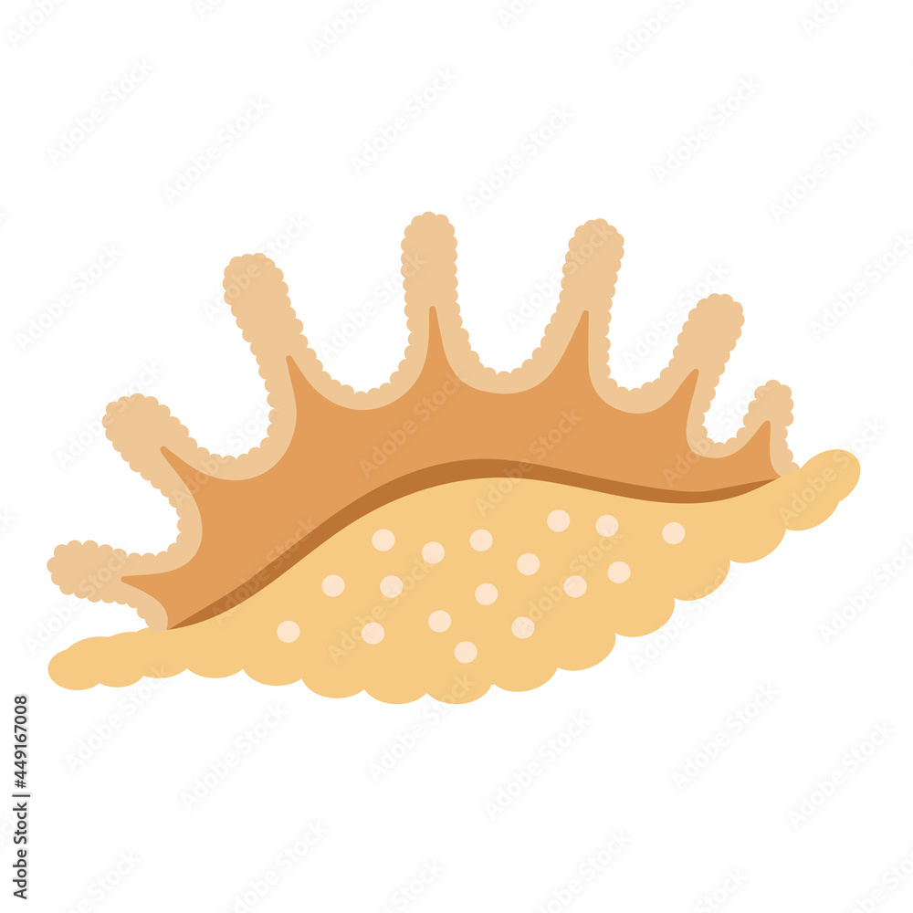 shell on a white background for your menu or design, illustration. Seashell shell on a white background for your menu or design, illustration. Seashell
