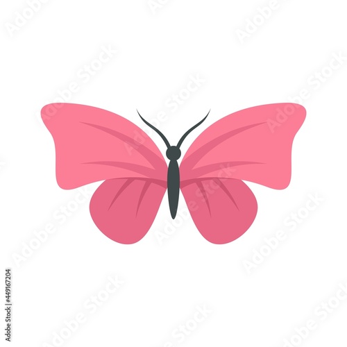 Flying butterfly icon flat isolated vector © anatolir