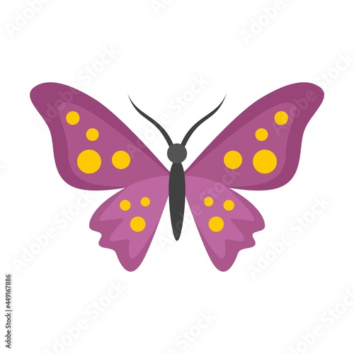 Floral butterfly icon flat isolated vector © anatolir