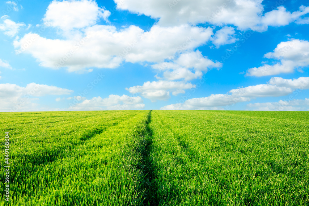 Clean grass and sky natural landscape in China Clean grass and sky natural landscape in China