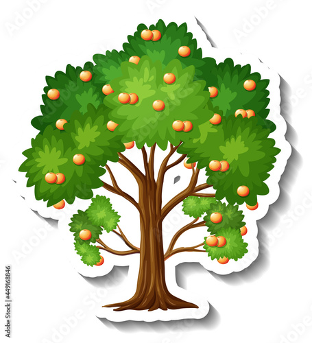 Orange tree sticker on white background