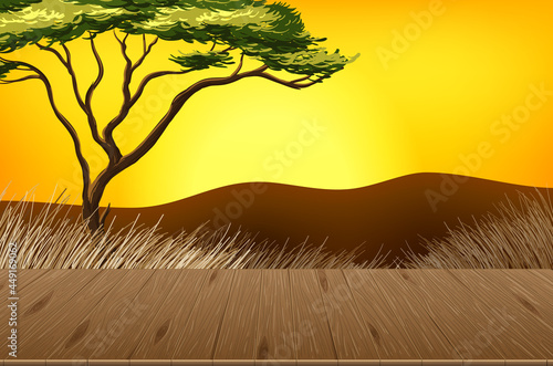 Empty savannah forest landscape scene with blur background
