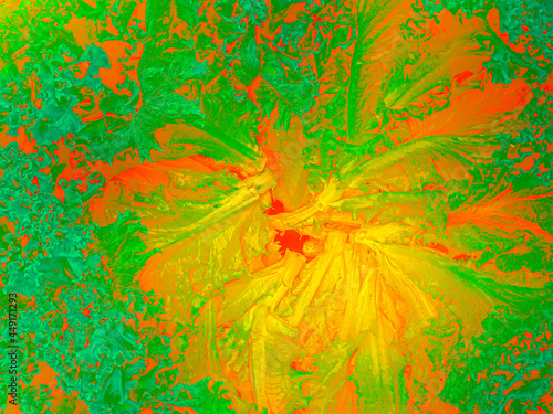 Lettuce green salad leafs arranged in a circle with colors edit digital. photo