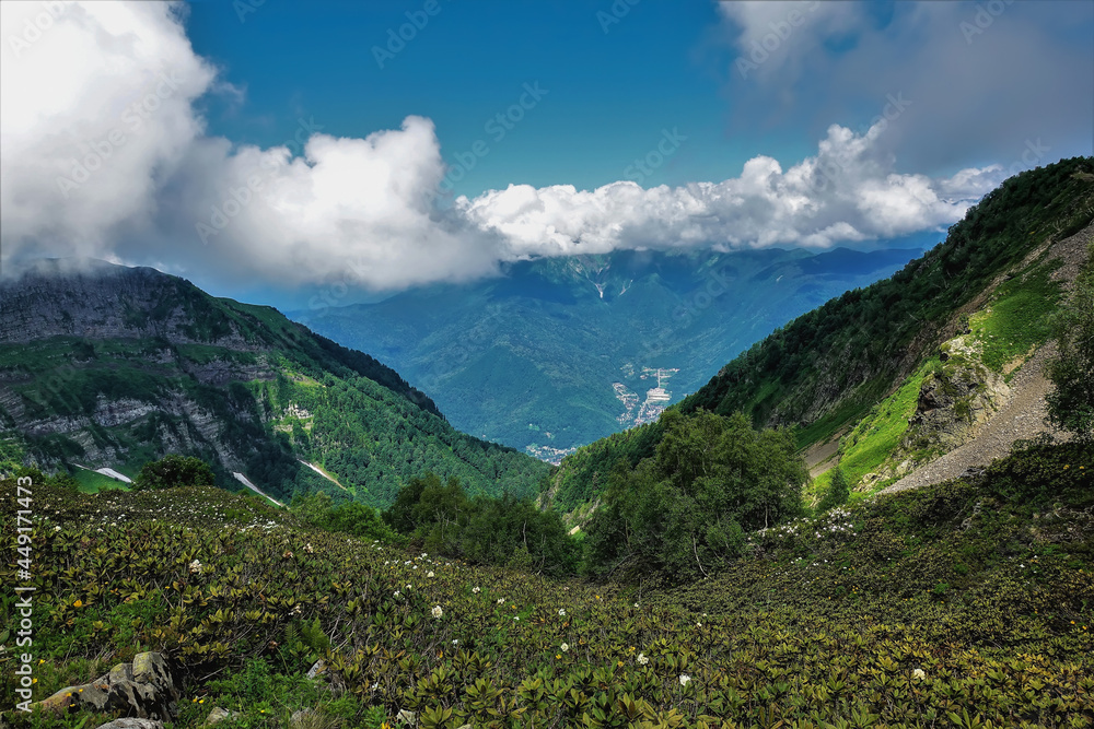 In the valley, on the alpine meadows, rhododendrons bloom. There is green vegetation on the mountain slopes. Picturesque cumulus clouds lie on the top of the ridge. Caucasus