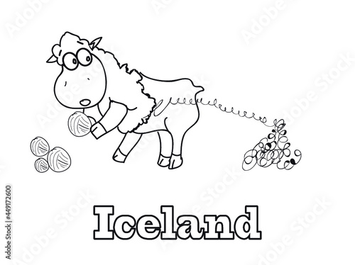 Owca islandia