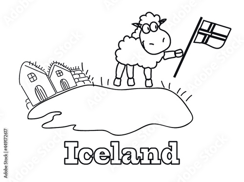 Owca Islandia 