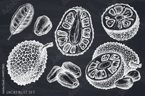 Vector set of hand drawn chalk jackfruit