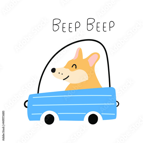 Beep beep. Cute corgi driving a car. Illustration on white background.