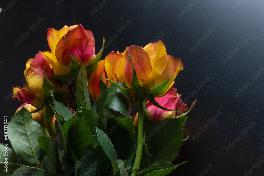 bouquet of rose bouquet of rose