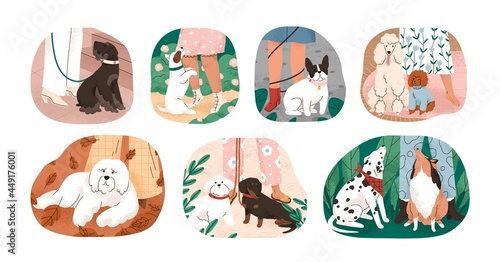 Set of cute dogs at female owner's legs. Happy purebred doggies and puppies of different breeds at outdoor walk with human. Colored flat vector graphic illustration isolated on white background