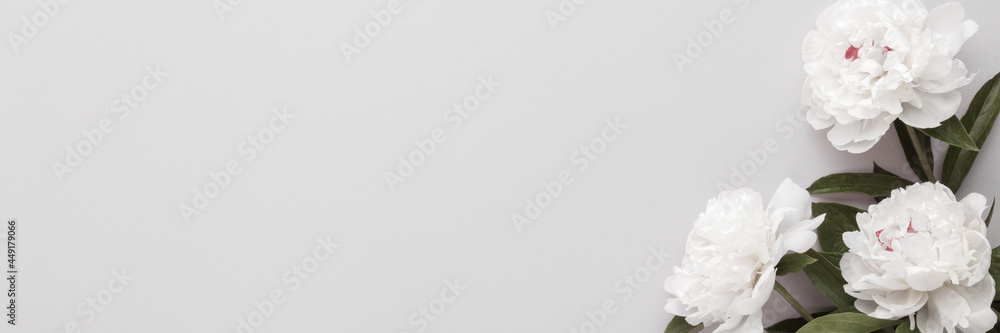 Fresh white peony flowers on light gray table background. Closeup. Condolence card. Wide banner. Empty place for emotional, sentimental text, quote or sayings. Top down view. Fresh white peony flowers on light gray table background. Closeup. Condolence card. Wide banner. Empty place for emotional, sentimental text, quote or sayings. Top down view.