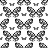 Seamless pattern with butterflies. Vector.