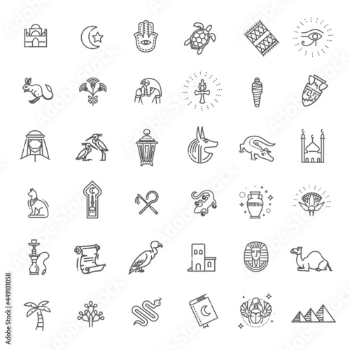 Set of Egypt icons. Desert flora and fauna